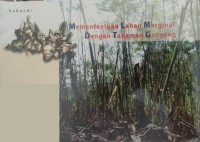 Image of Memanfaatkan Lahan Marginal dengan Tanaman Ganyong