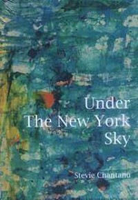 Image of Under The New York Sky